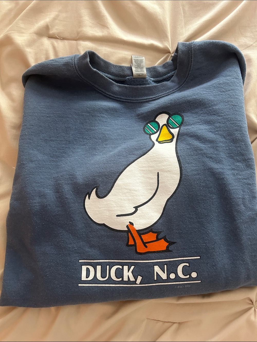Duck NC Duck Graphic Sweatshirt Gildan Slate Blue Medium